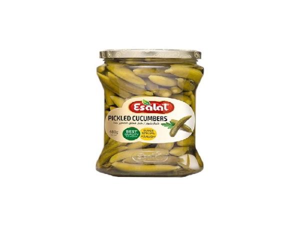 قیمت خیارشور اصالت + خرید و فروش