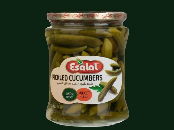 خیارشور اصالت